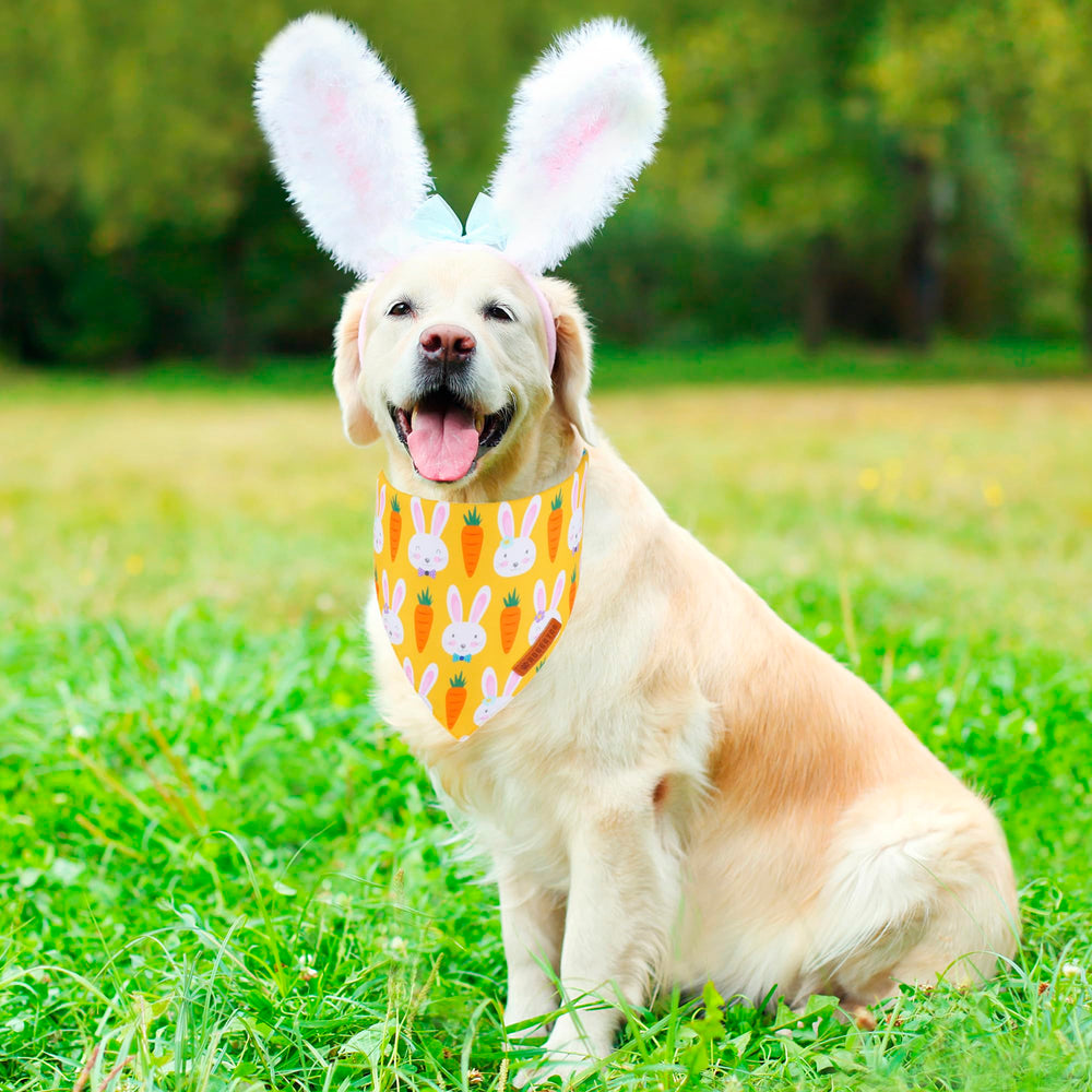 Bandana ADOGGYGO pour chien grande taille, ajustable jusqu'à 22 pouces.