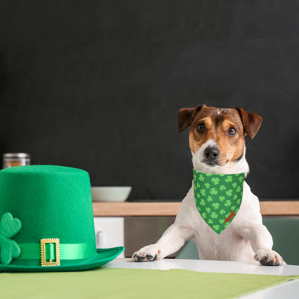 ADOGGYGO bandana chien St Patrick vert, réglable pour un ajustement confortable.