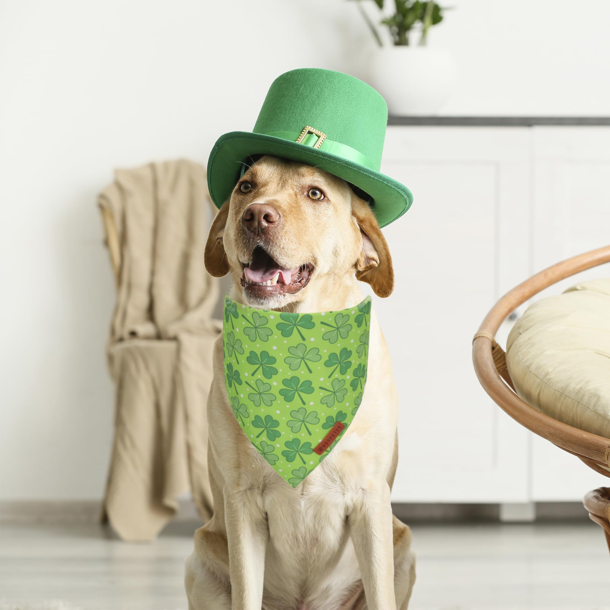 ADOGGYGO bandana chien St Patrick vert, double couches pour durabilité.
