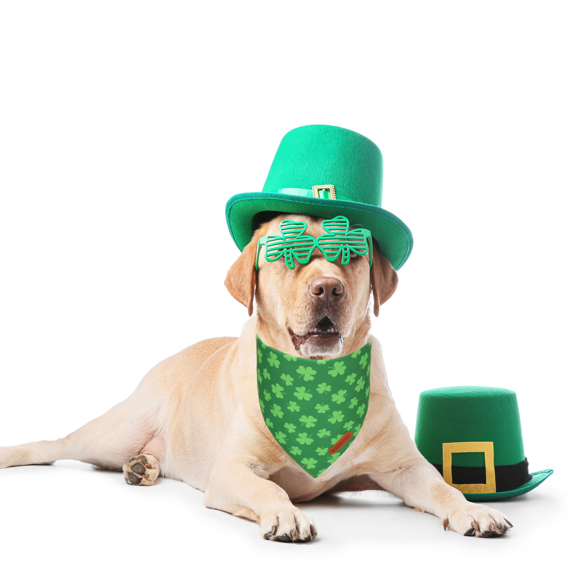 ADOGGYGO Bandana Saint-Patrick vert tréfle ajustable XL pour grands chiens