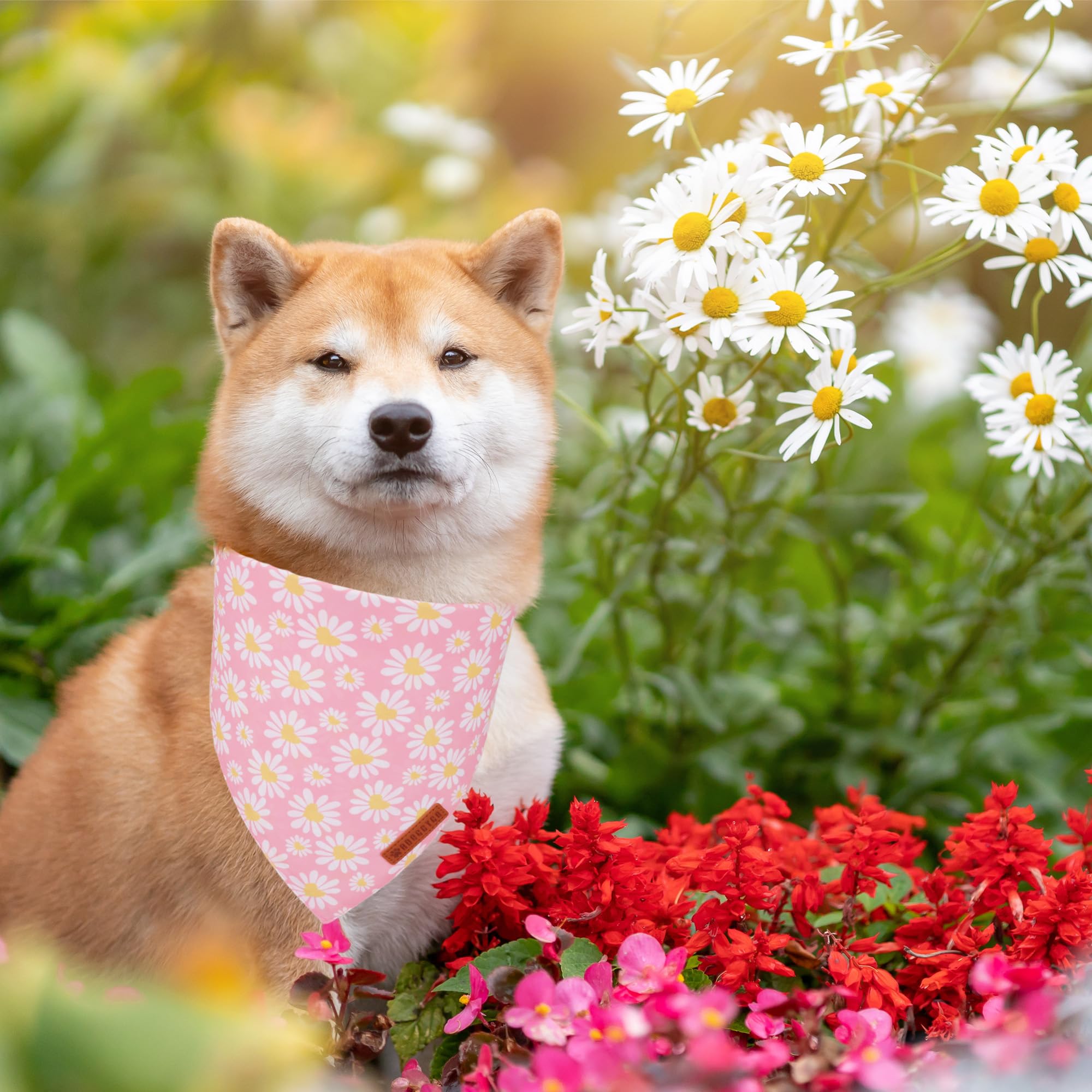 ADOGGYGO bandana floral rose marguerite ajustable, adapté au cou moyen à large