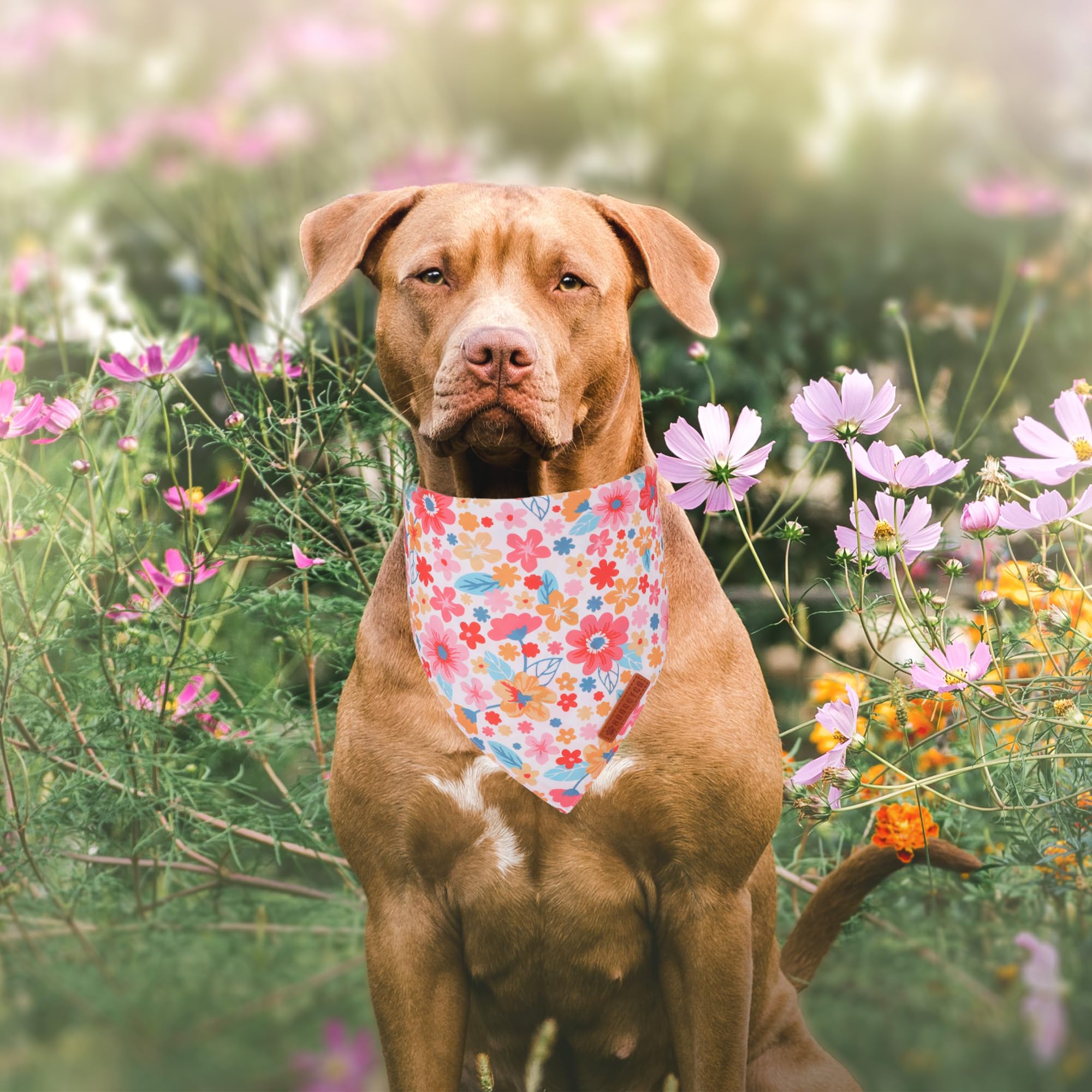ADOGGYGO bandana floral rose marguerite recto-verso, deux styles faciles à alterner