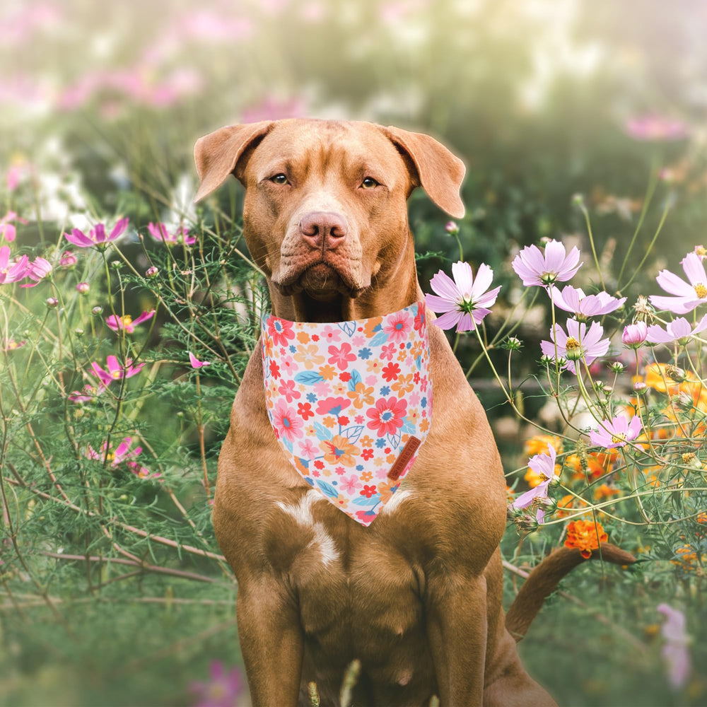 ADOGGYGO bandana floral rose marguerite recto-verso, deux styles faciles à alterner