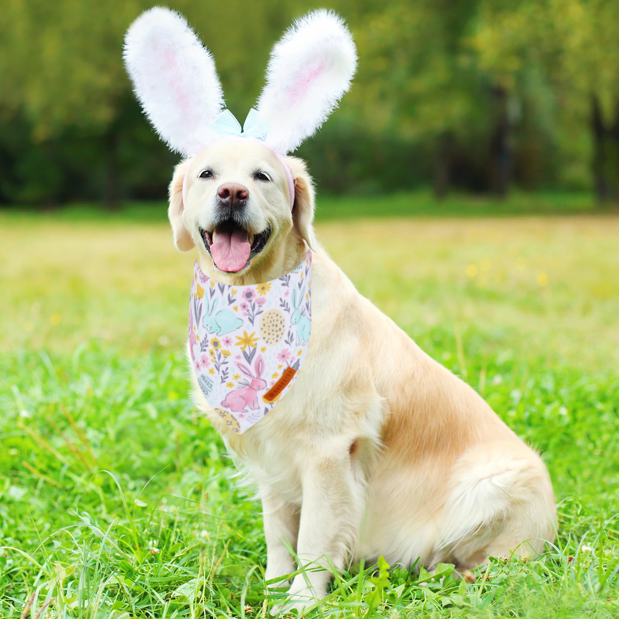 Bandana ADOGGYGO pour chien, motif carotte, style ludique