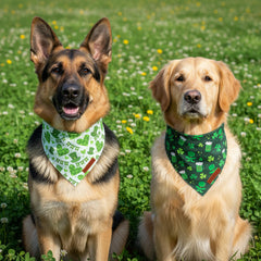 Bandana ADOGGYGO verte avec banniere fete pour ambiance Festive canine.