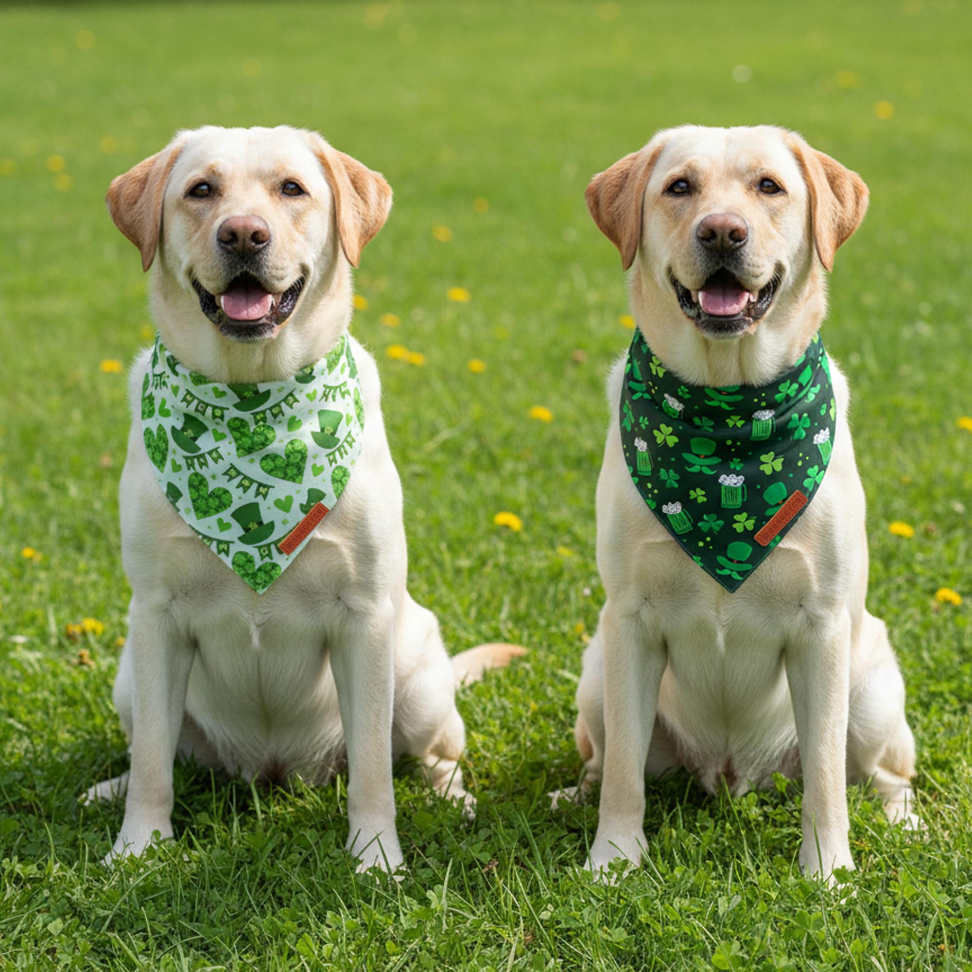 Bandana ADOGGYGO verte avec chapeau, parfait pour des séances photo canines.