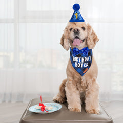 ADOGGYGO bandeau anniversaire chien bleu plaid, confort et style.