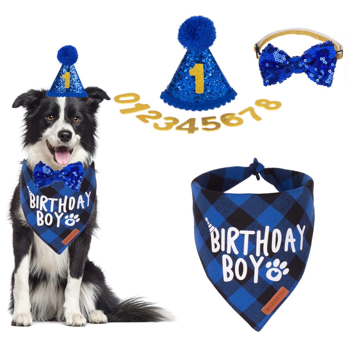 ADOGGYGO chapeau anniversaire bleu pour chien, léger et ajustable pour vos photos.