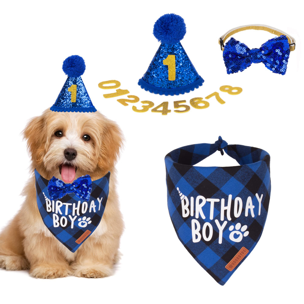 ADOGGYGO chapeau anniversaire chien bleu, idéal pour des photos festives.
