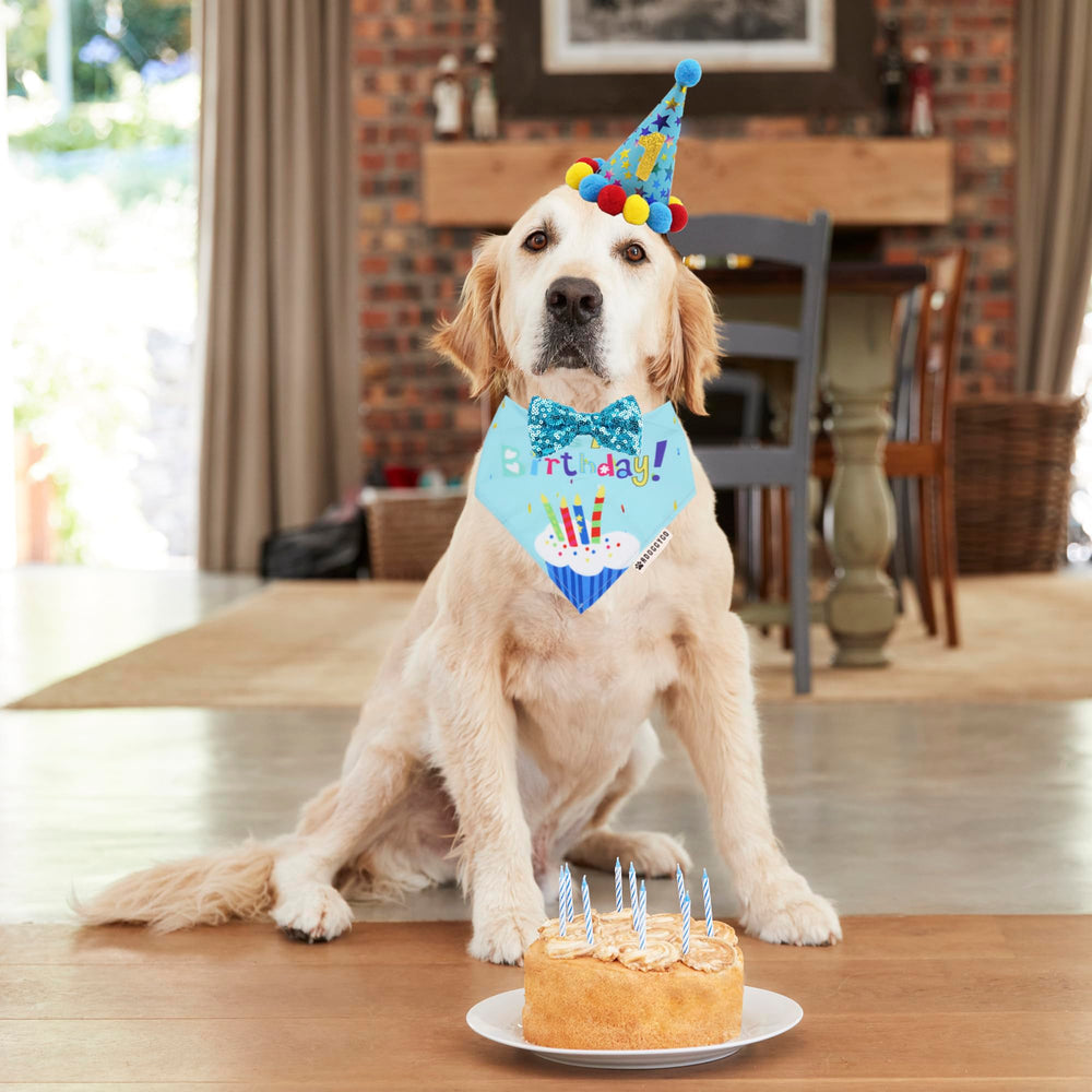 Chapeau anniversaire ADOGGYGO bleu avec pompons, ajustement facile.