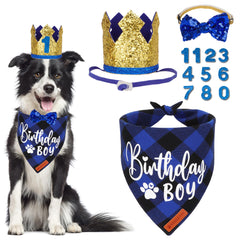 Chapeau anniversaire doré ADOGGYGO, parfait pour photos festives du chien.