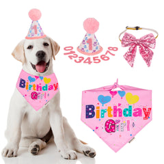 Chapeau anniversaire ADOGGYGO rose pour chien, design chic et durable.