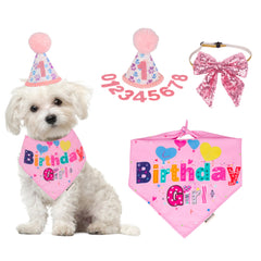 Chapeau anniversaire ADOGGYGO pour chien, style festif et facile à enfiler.