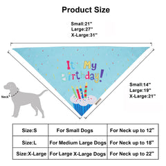 Ensemble accessoires fête ADOGGYGO prêt pour photos et fêtes.