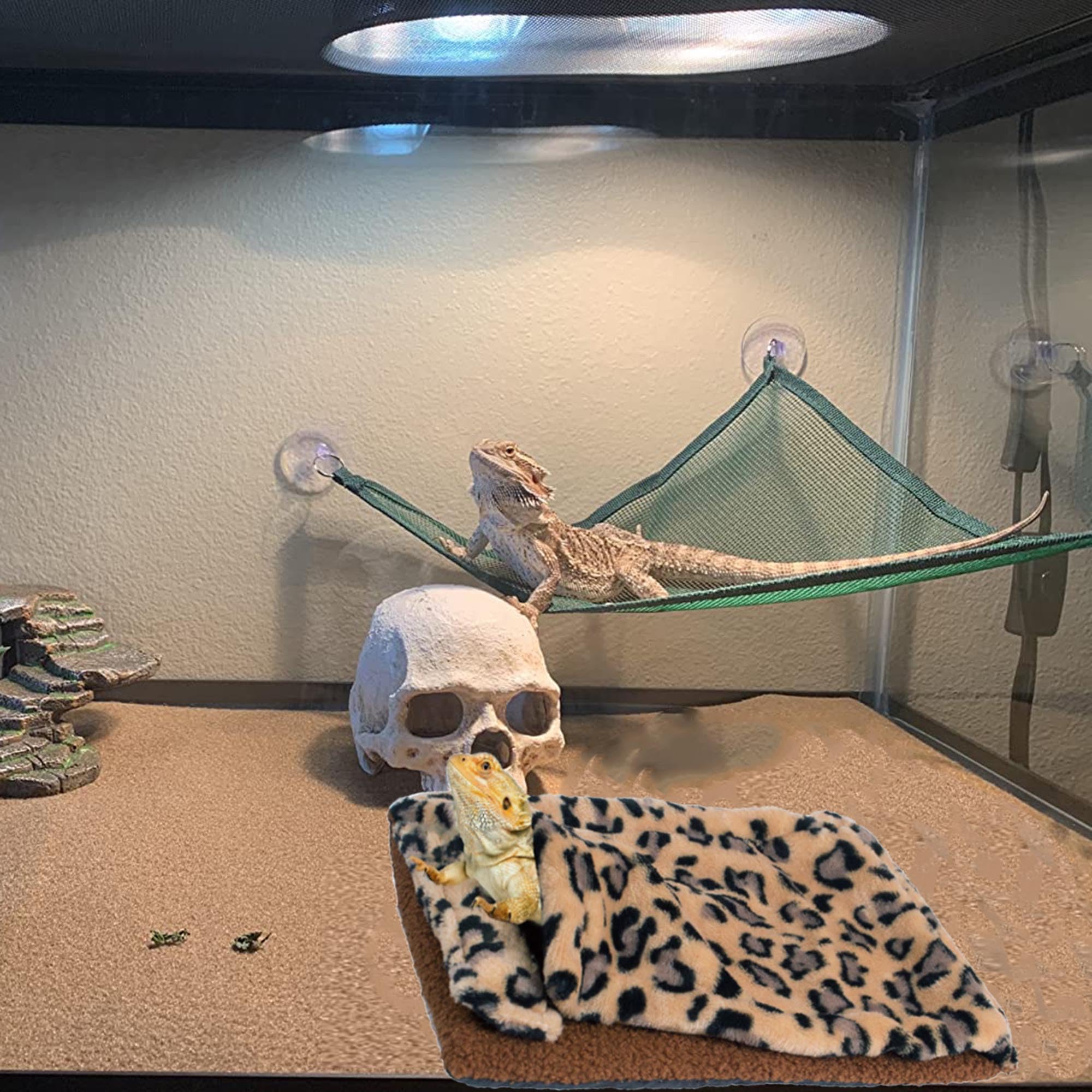 ADOGGYGO habitat reptile avec imprimé léopard pour un abri chaleureux