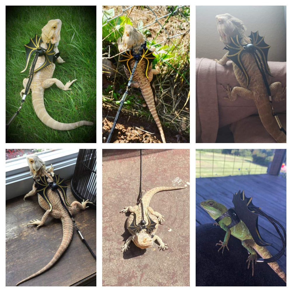 ADOGGYGO harnais dinosaure-ailes, maintien sûr lors des balades.