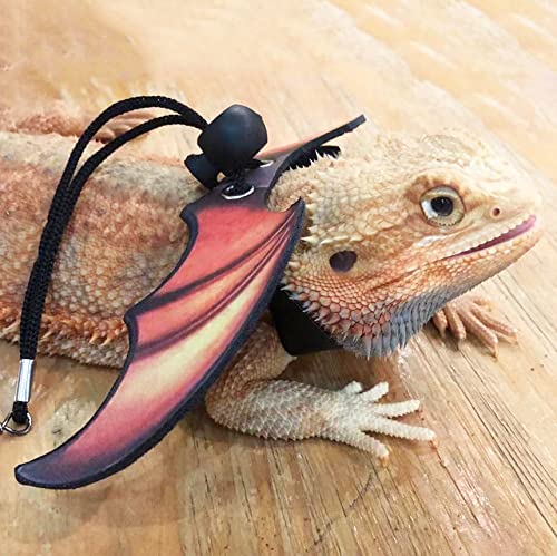 HARNAIS ADOGGYGO dragon barbu trois tailles pour tous niveaux