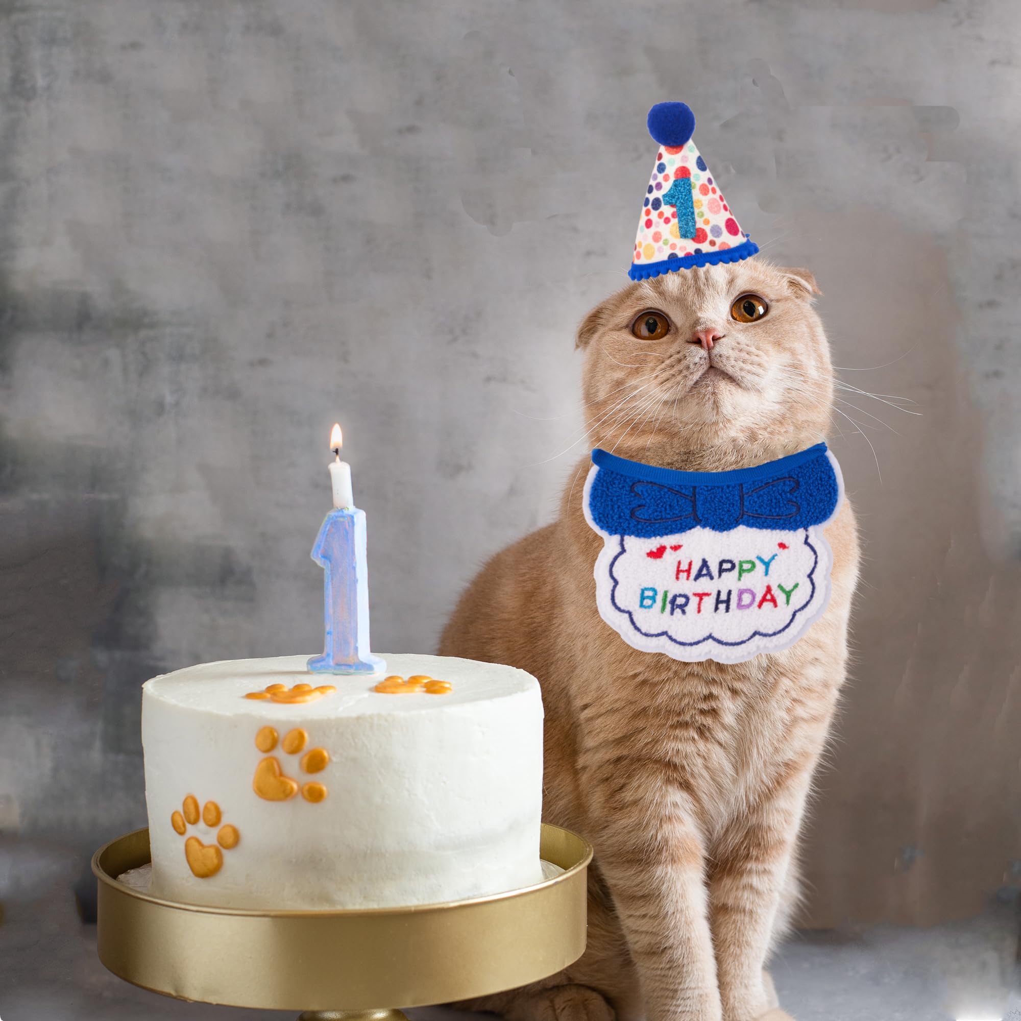 Numéros anniversaire ADOGGYGO bleu, affichez l âge de votre chat facilement.