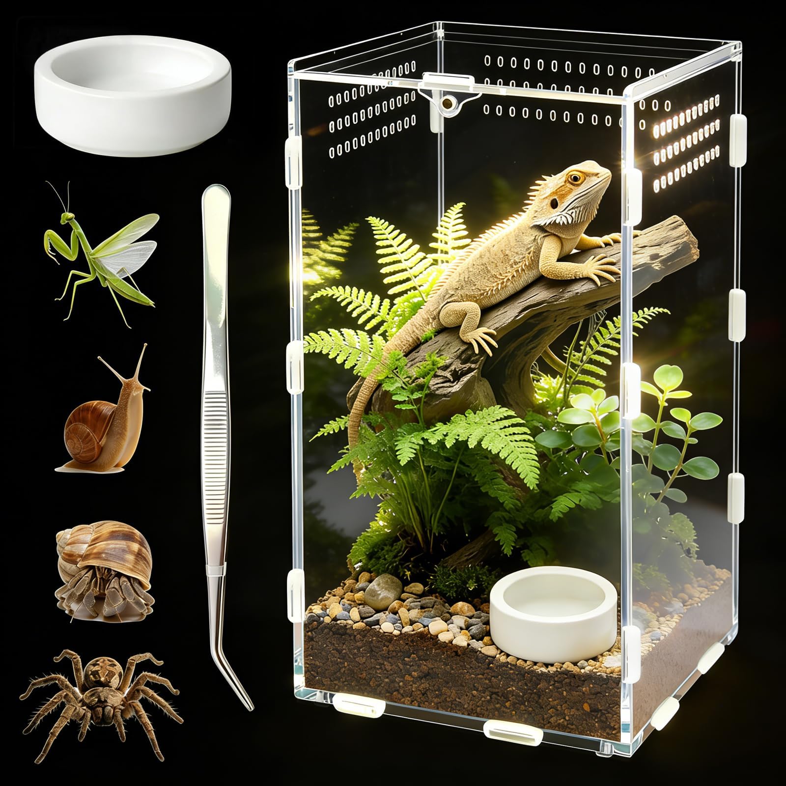 Terrarium Adoture acrylique 15x15x25 cm, porte magnétique pour accès sécurisé.
