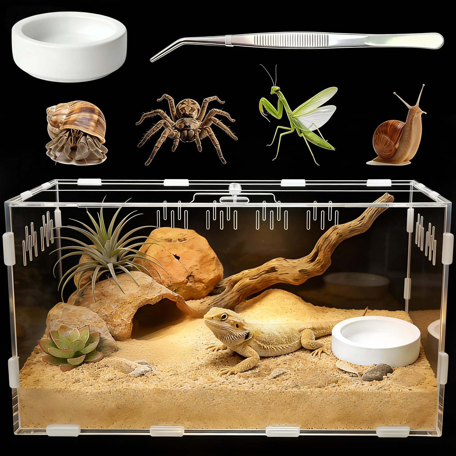 Terrarium Adoture Reptile en acrylique 30x20x15, vue panoramique claire pour observation facilitée.