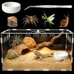 Terrarium Adoture Reptile en acrylique 30x20x15, vue panoramique claire pour observation facilitée.
