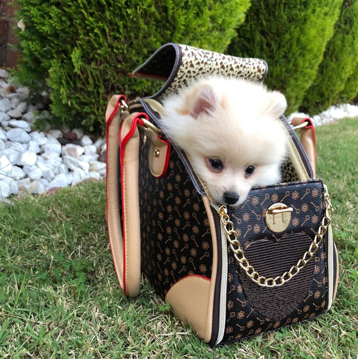 Adriene's Choice sac-petit-chien luxe cote offre portabilité chic en voyage.