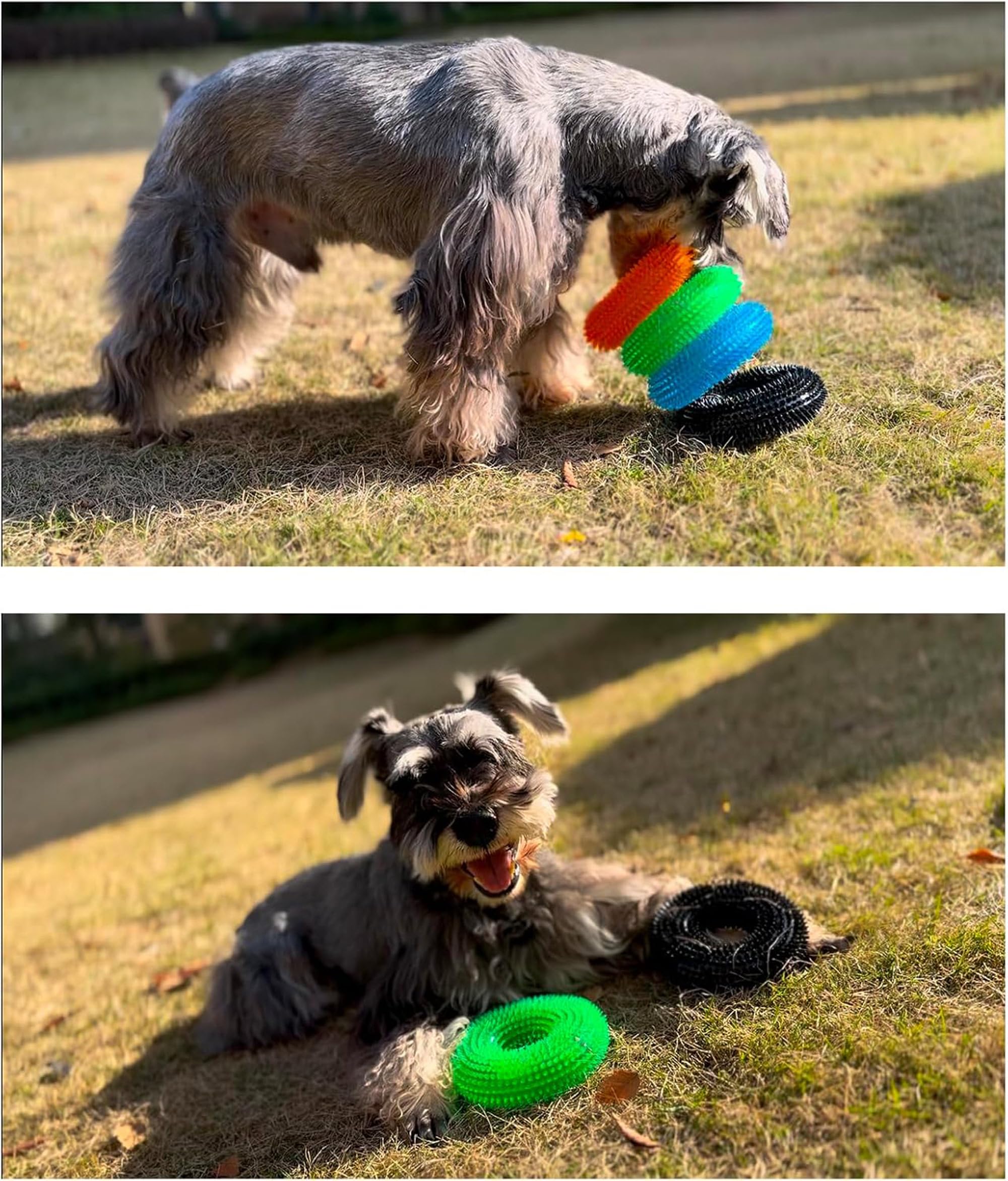 ADUCK Jouet Chien Usage Intérieur Extérieur: polyvalent et pratique