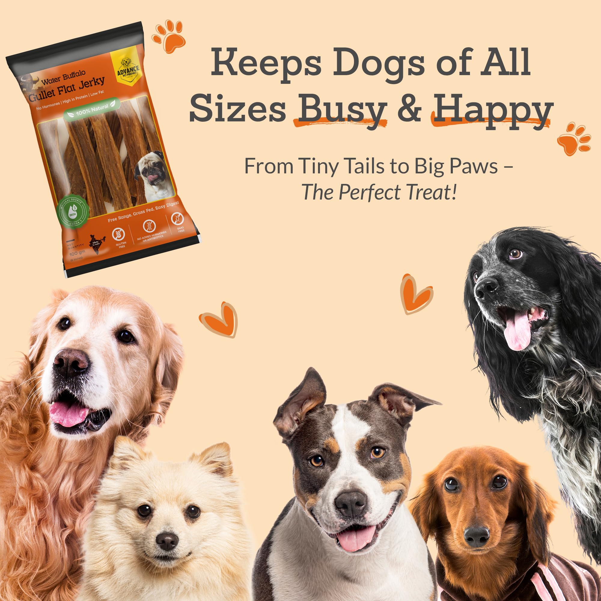 Plaisir durable avec Advance Pet Products goulet de buffle plat