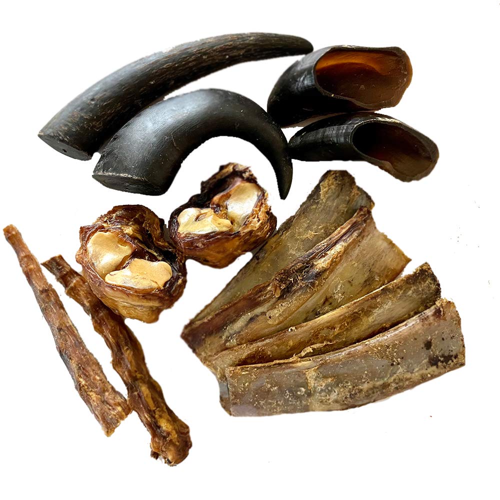 Advance Pet Products présente des os de côtes de buffle d'eau avec viande, pour la mastication.