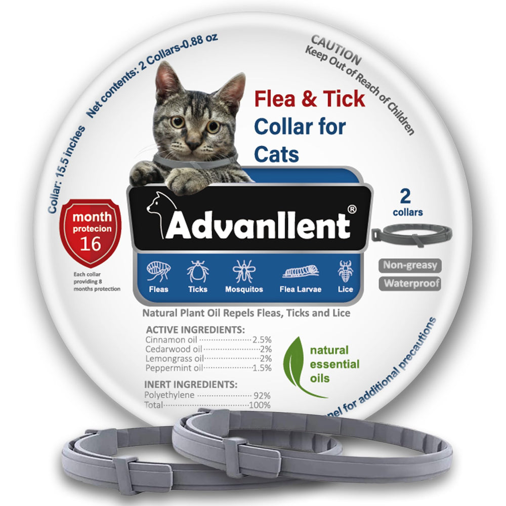 Advanllent collier anti-puces pour chats en action, prévention naturelle.