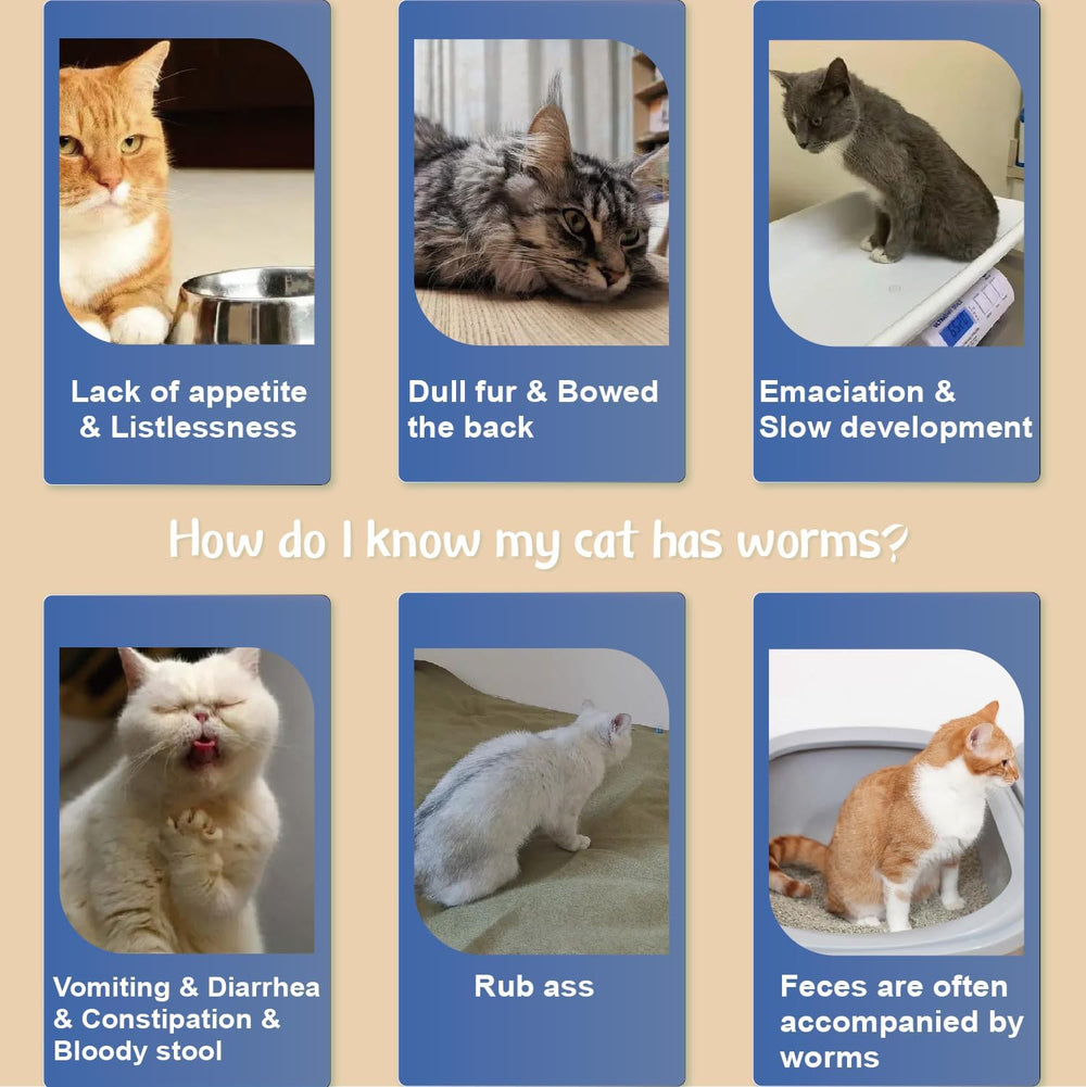 Advanllent collier chat sécurité avec point de rupture intégré.