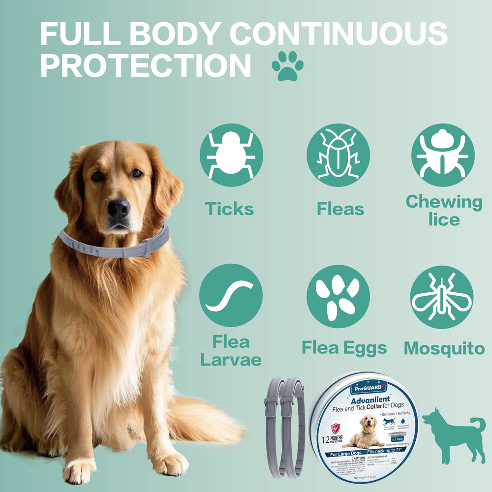 Collier à taille unique Advanllent, confort durable pour tous les chiens.