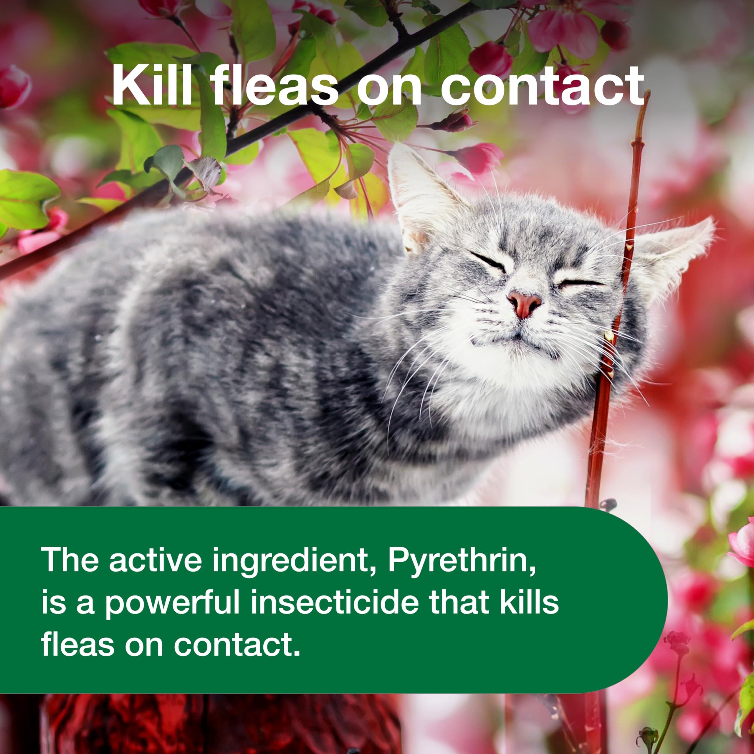 Conçu pour chats âgés de plus de sept mois, traitement pratique.