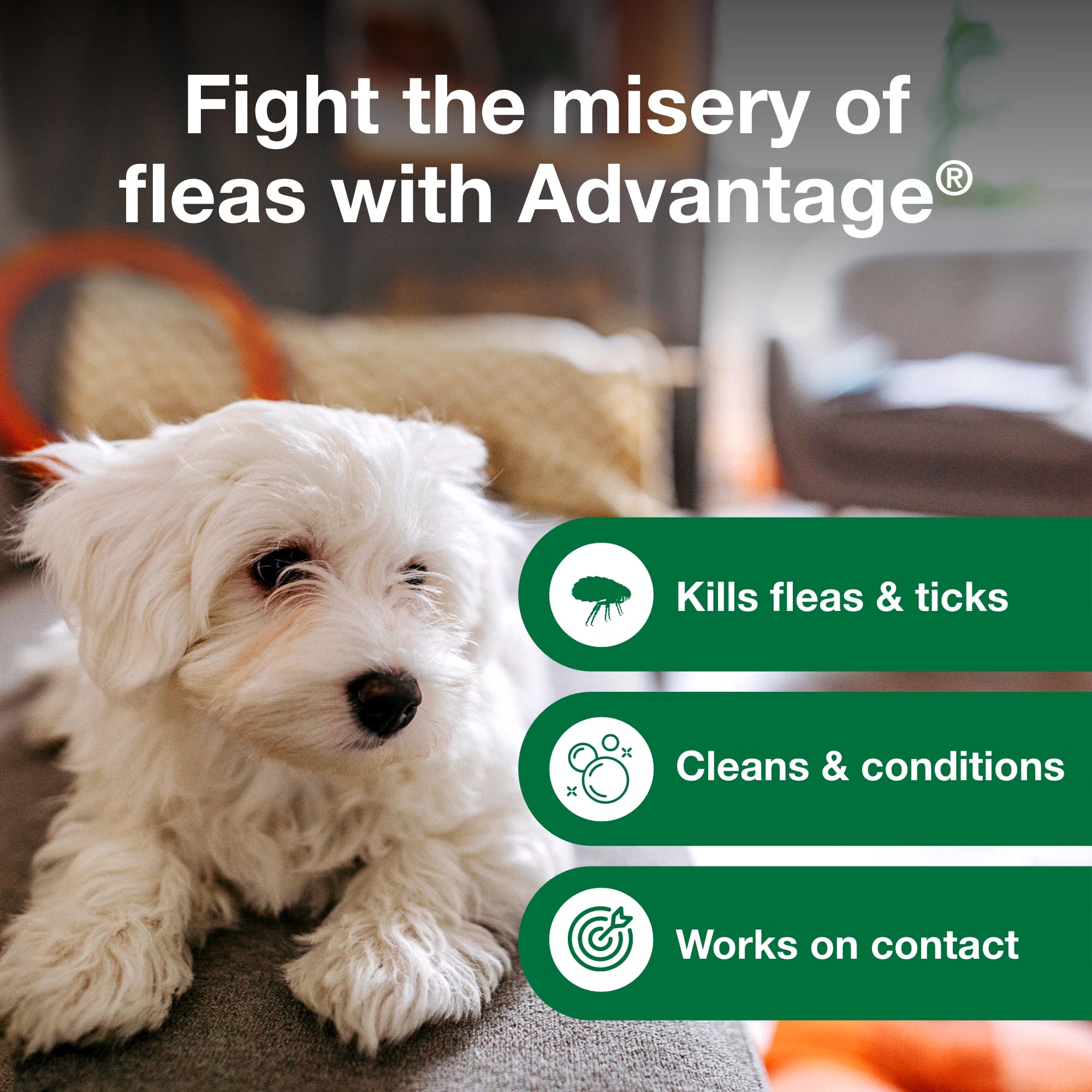 Advantage: duree-d-action-shampoing-puces-tiques-chien, efficacité durable sans ordonnance.