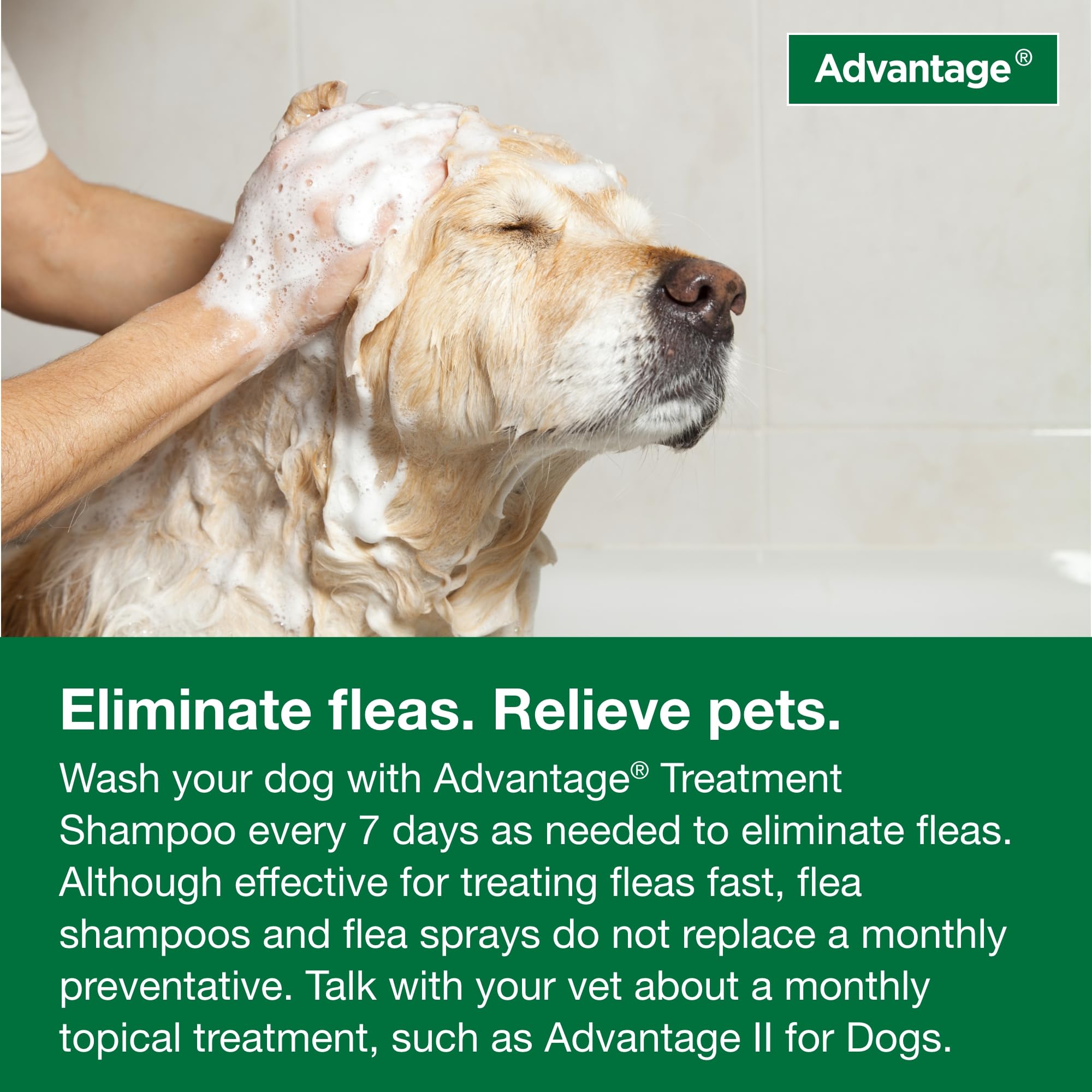 Advantage: emballage-24oz-shampoing-puces-tiques-chien, format économique et pratique.