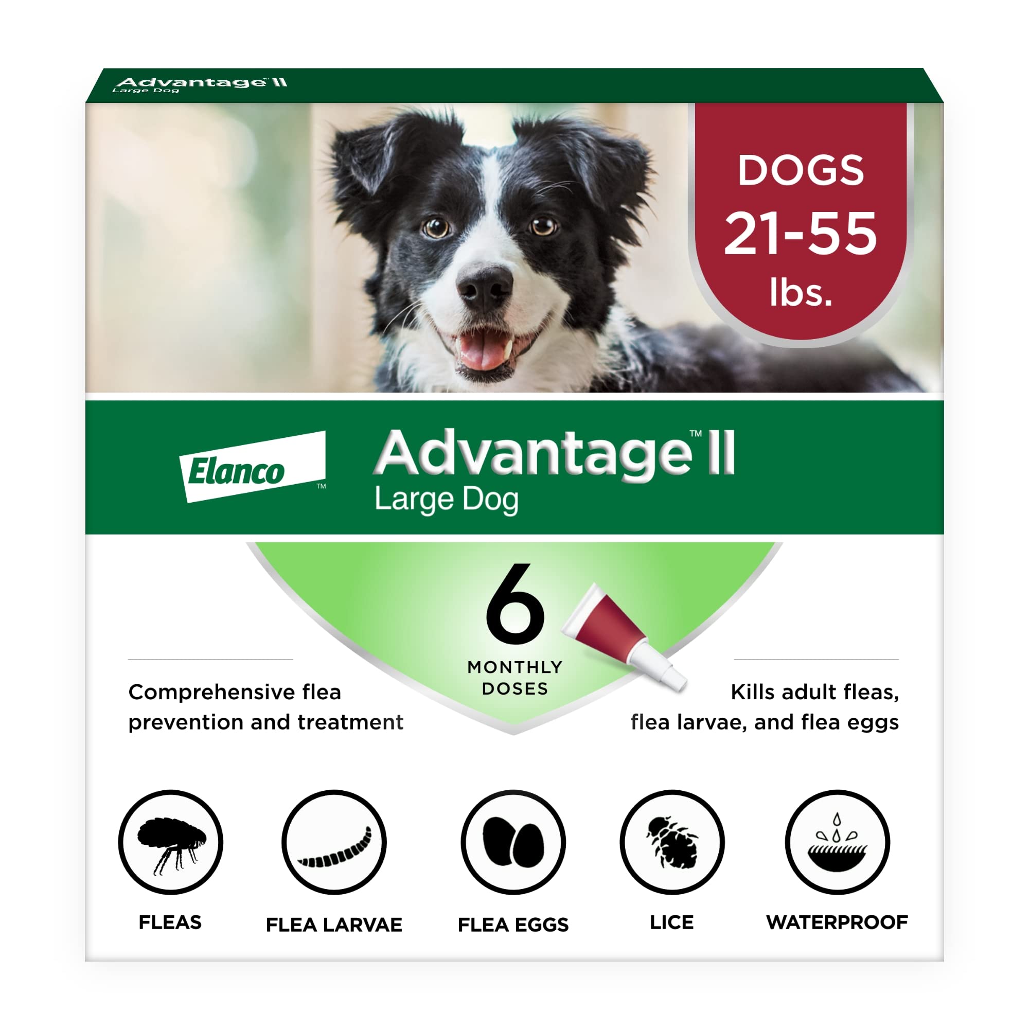 Advantage II : bouteille pour chien grande taille, prévention des puces.
