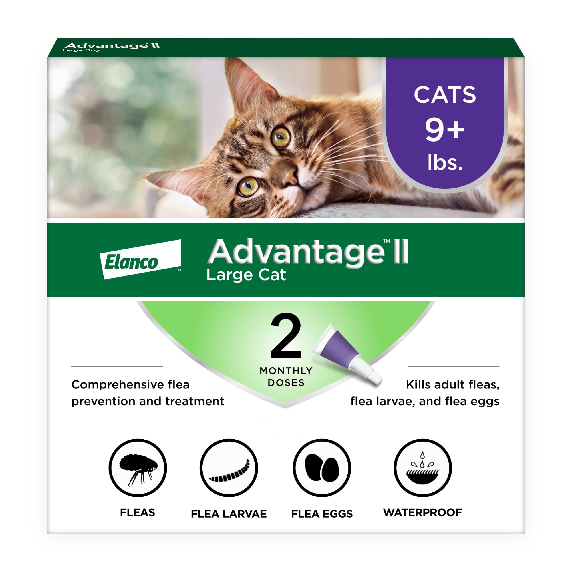 Advantage II Chat Grand: flacon appliqué sur le dos pour protection contre les puces.