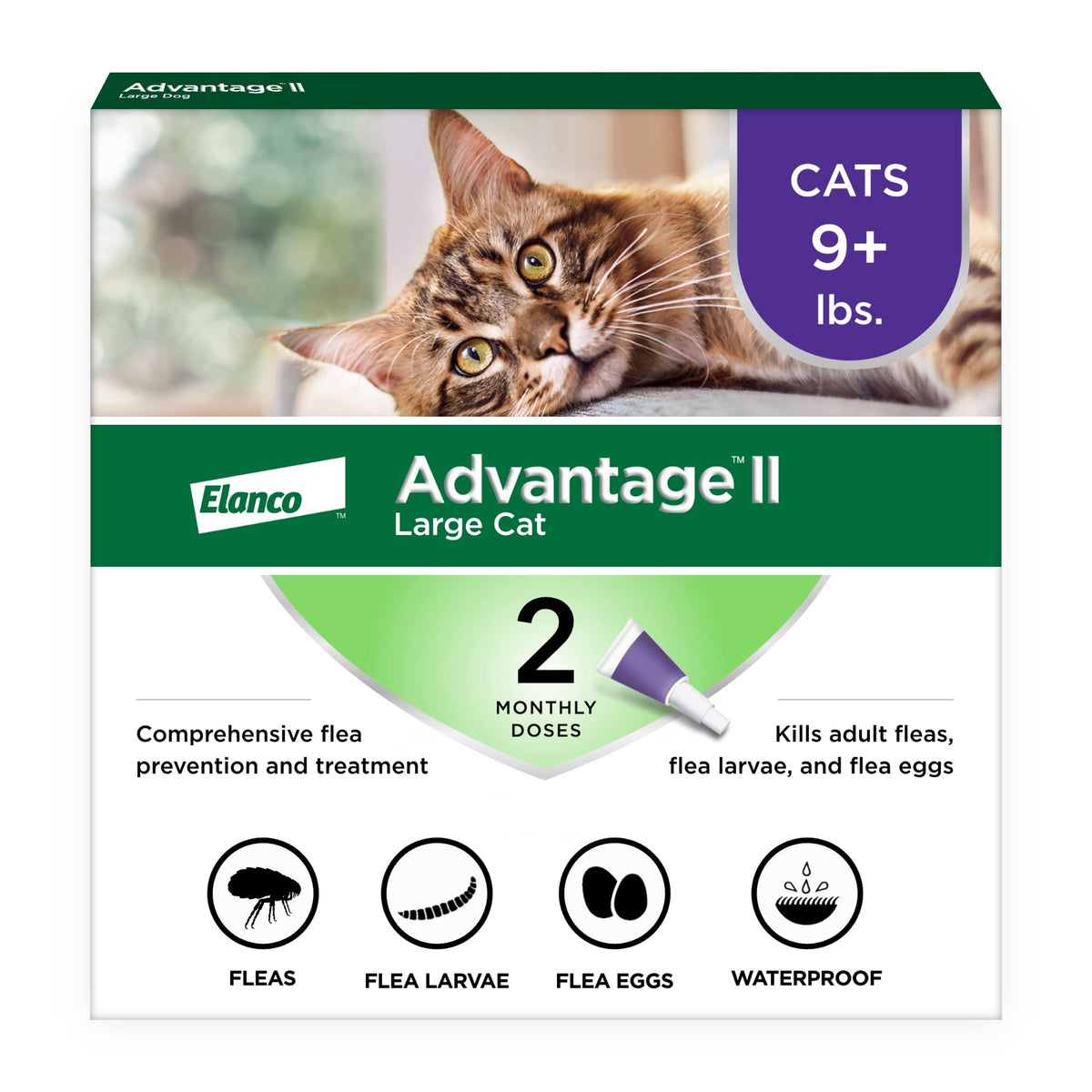 Advantage II Chat Grand: flacon appliqué sur le dos pour protection contre les puces.