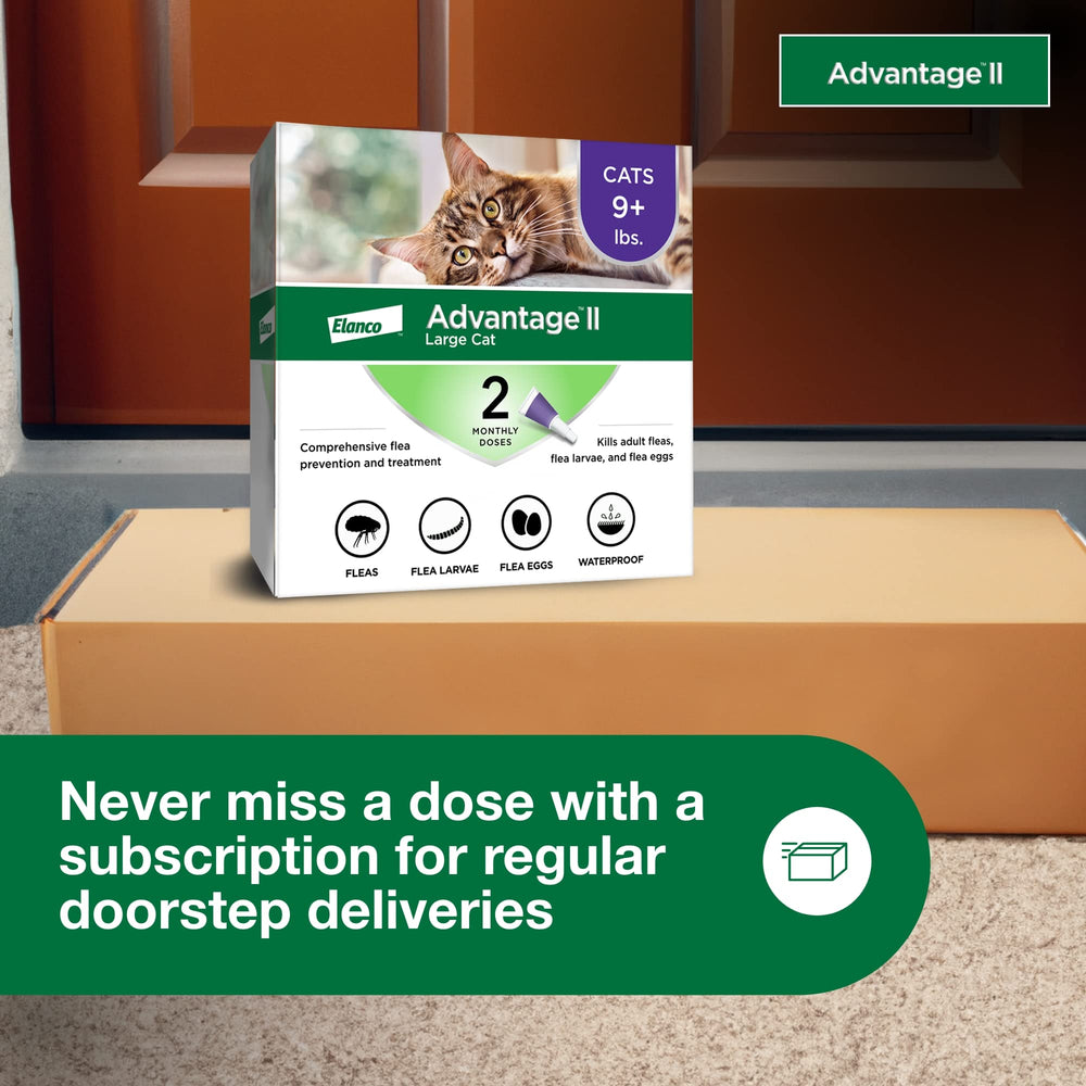 Advantage II Chat Grand: solution adaptée aux chats d’intérieur et d’extérieur.