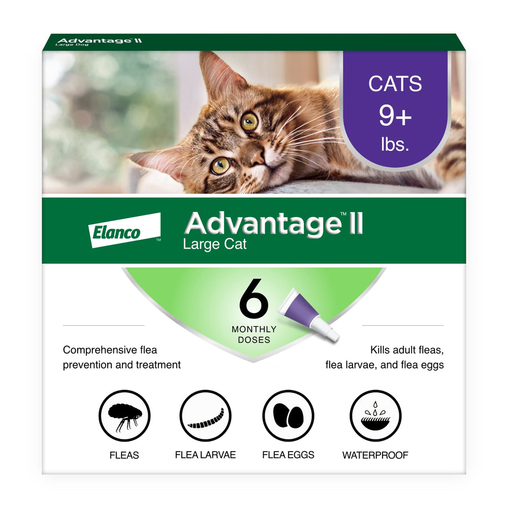 Advantage II Chat Grand – Bouteille prête pour l’application rapide sur la nuque.
