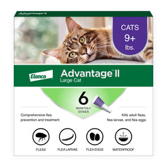 Advantage II Chat Grand – Bouteille prête pour l’application rapide sur la nuque.