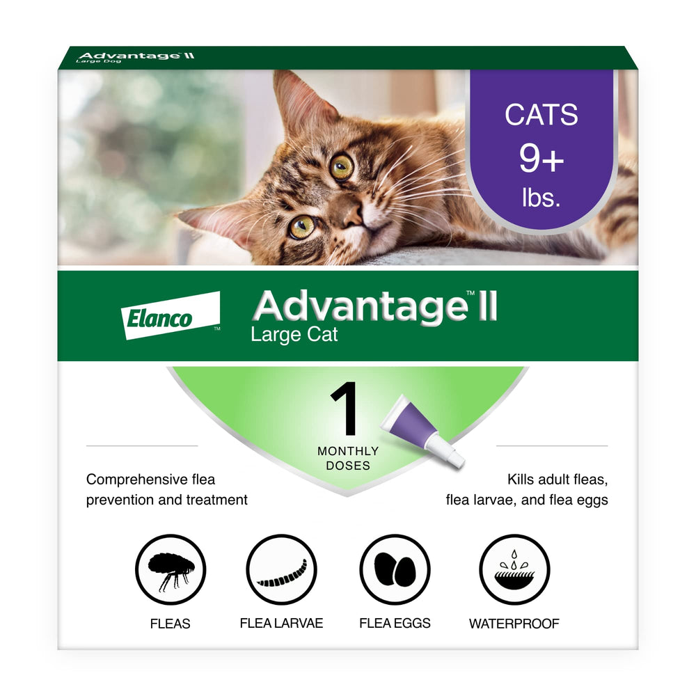 Advantage II Grand Chat - tube appliqué sur la nuque pour une protection mensuelle.