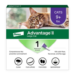 Advantage II Grand Chat - tube appliqué sur la nuque pour une protection mensuelle.