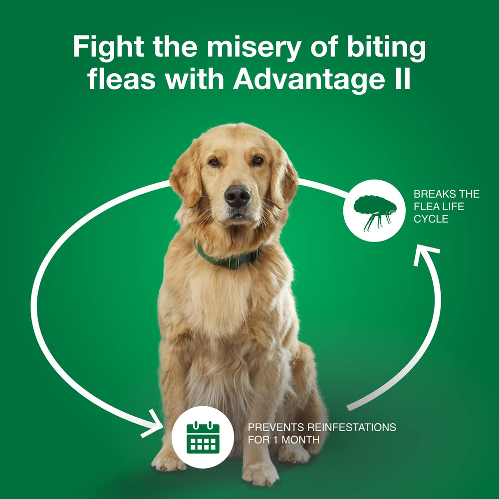 Formule sans parfum d Advantage II pour chien moyen.