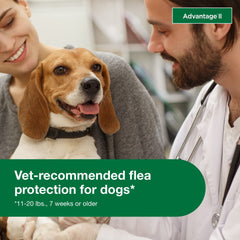 Advantage II: protection de 30 jours contre les puces pour chien moyen