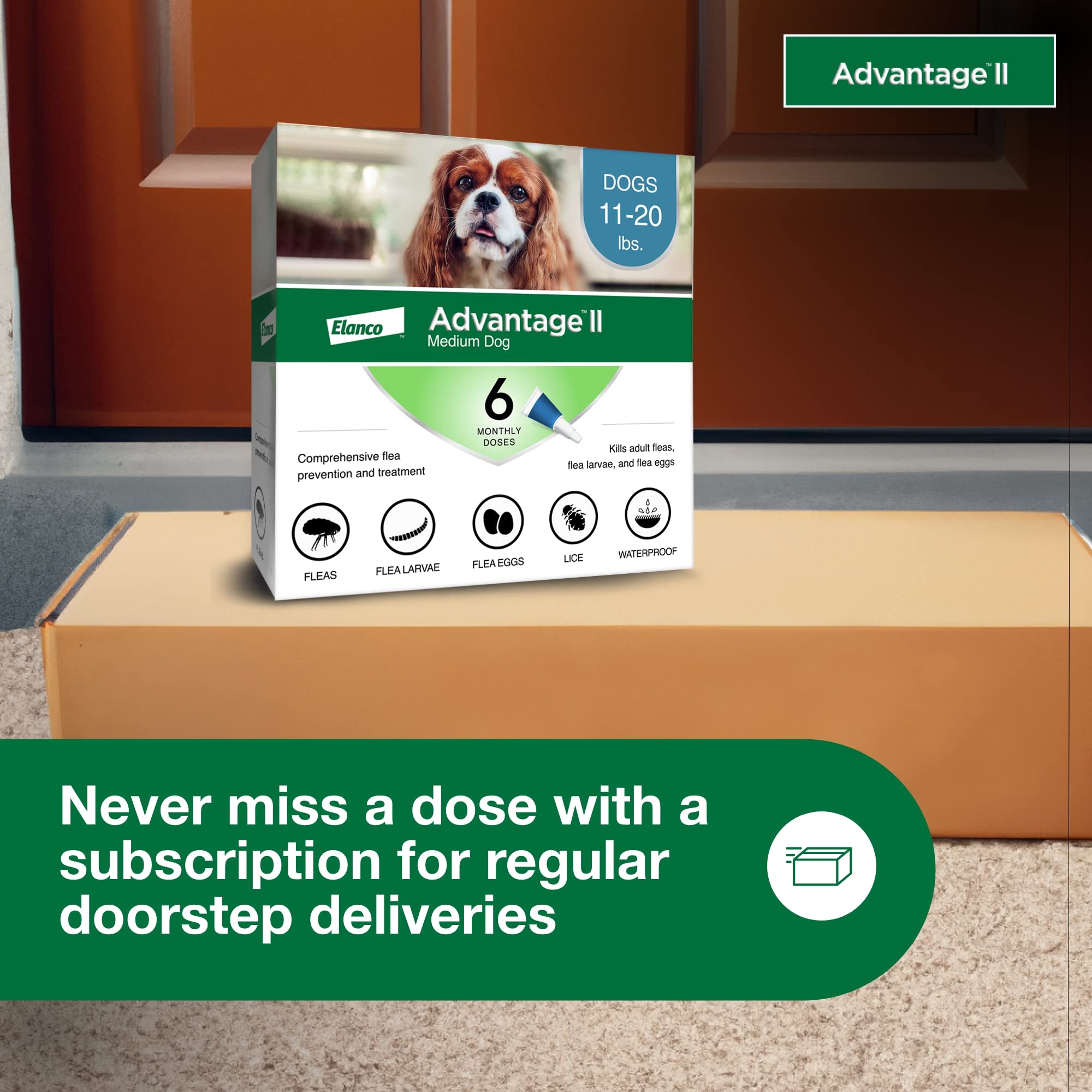 Advantage II — sans ordonnance, achat pratique et rapide