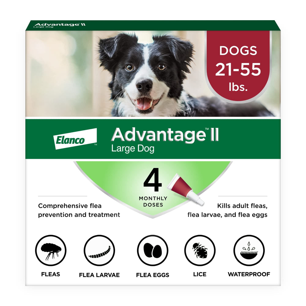 Advantage II Grand Chien – boîte du produit, présentation simple et pratique.