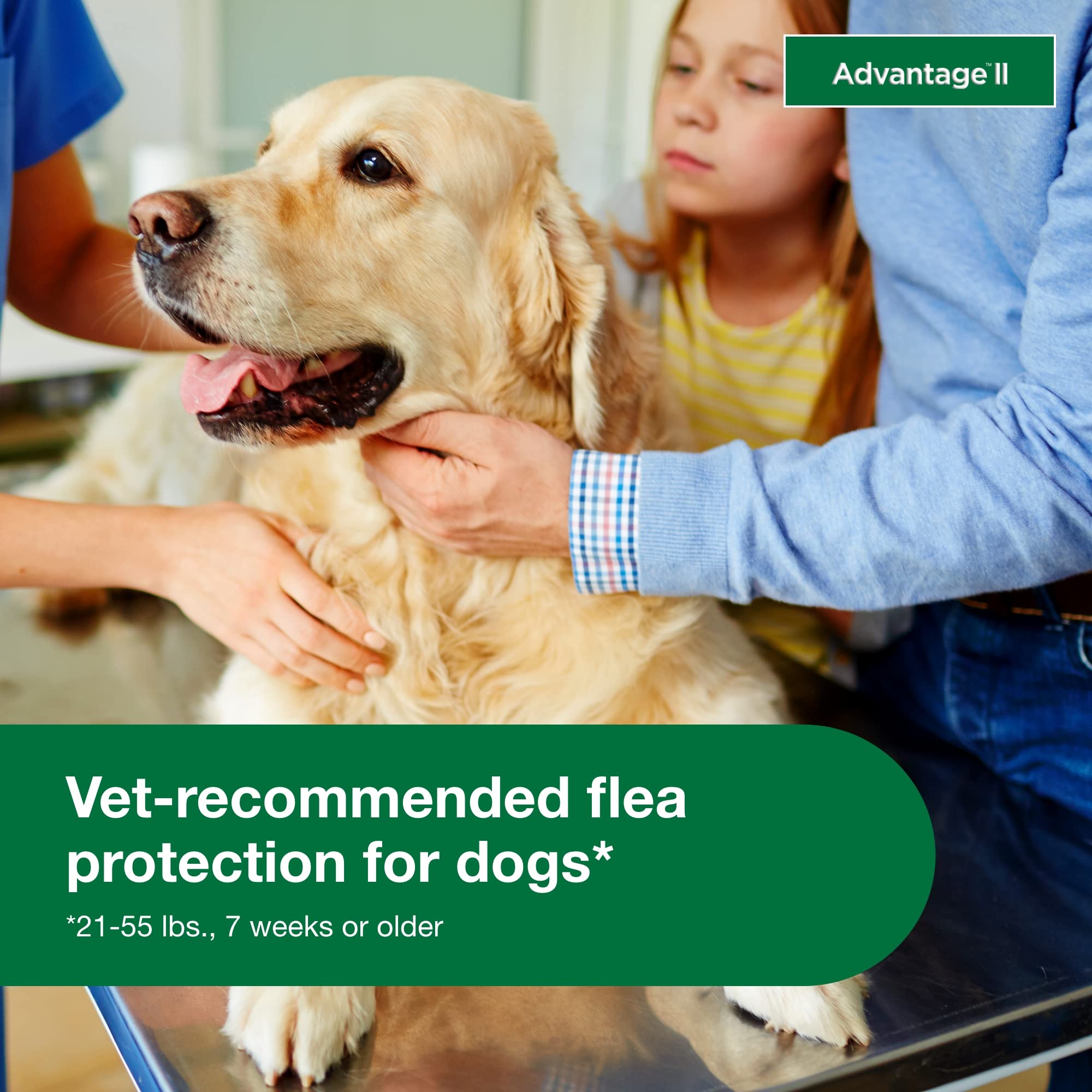 Advantage II Grand Chien – protection de 30 jours contre puces et poux.