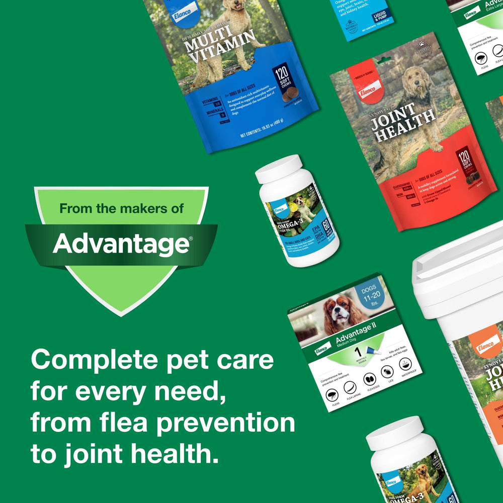 Advantage II Grand Chien – traitement accessible sans ordonnance.