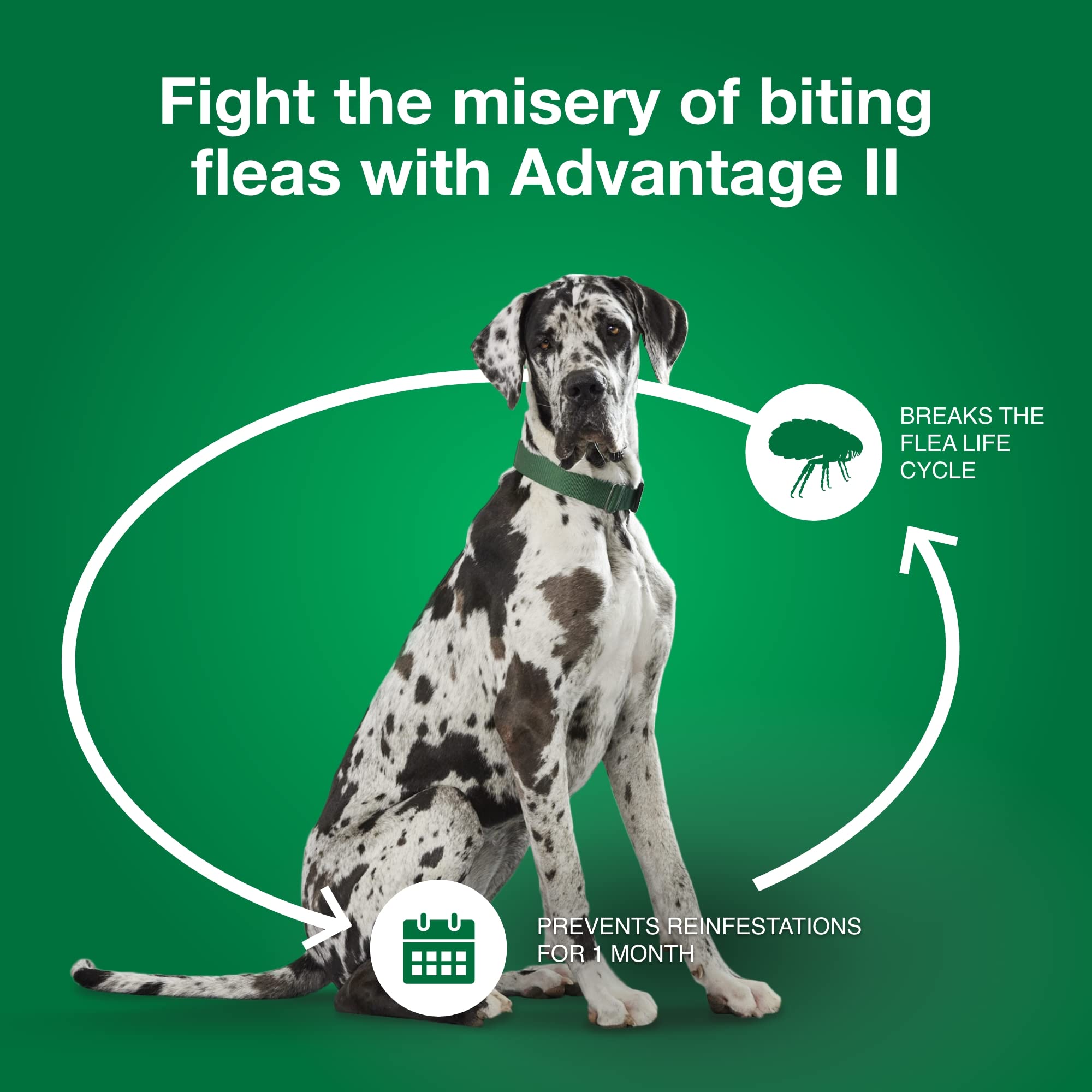 Advantage II XL – protection mensuelle pour chiens intérieurs et extérieurs